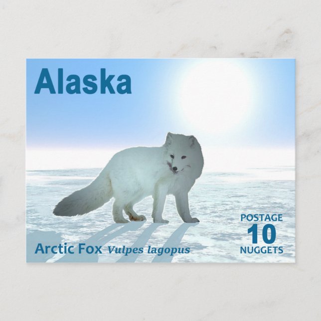 Carte Postale Renard arctique - Alaska Postage (Devant)