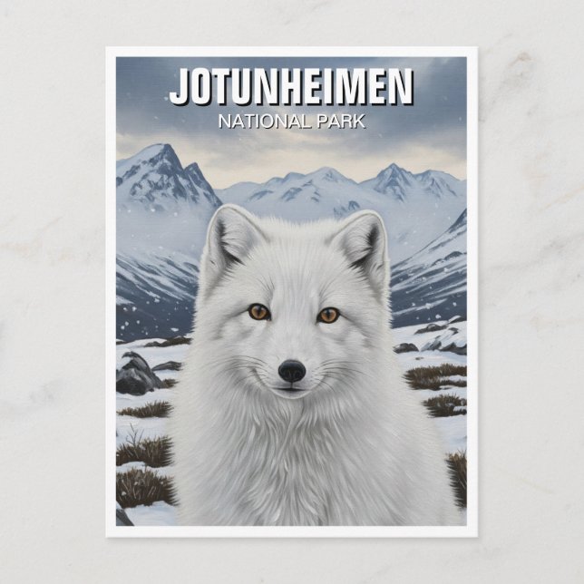Carte Postale Renard arctique dans le parc national de Jotunheim (Devant)