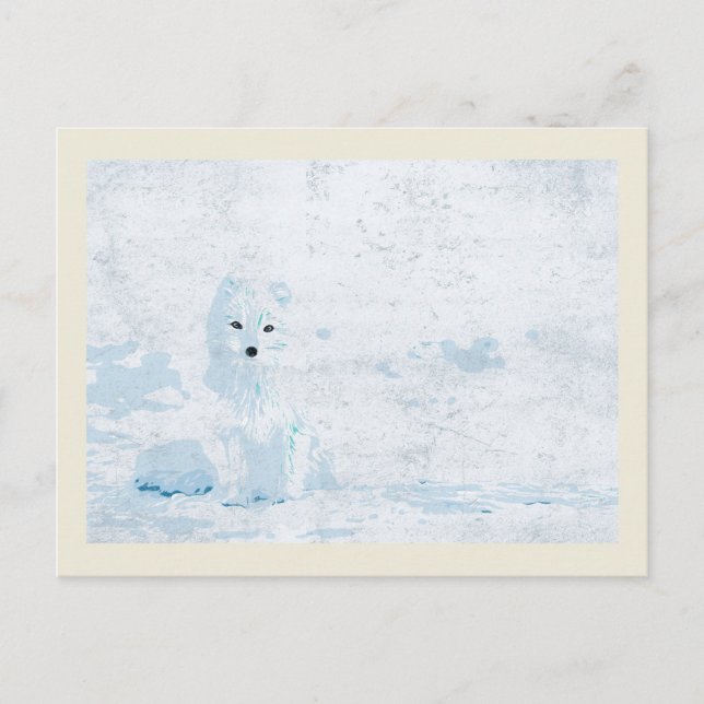 Carte Postale Renard arctique sur la glace blanche illustration (Devant)