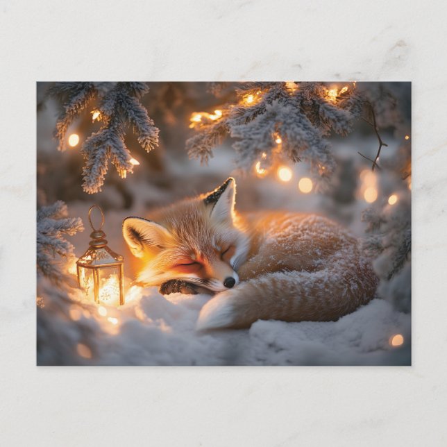 Carte Postale Renard couché sous Branches neigeuses (Devant)