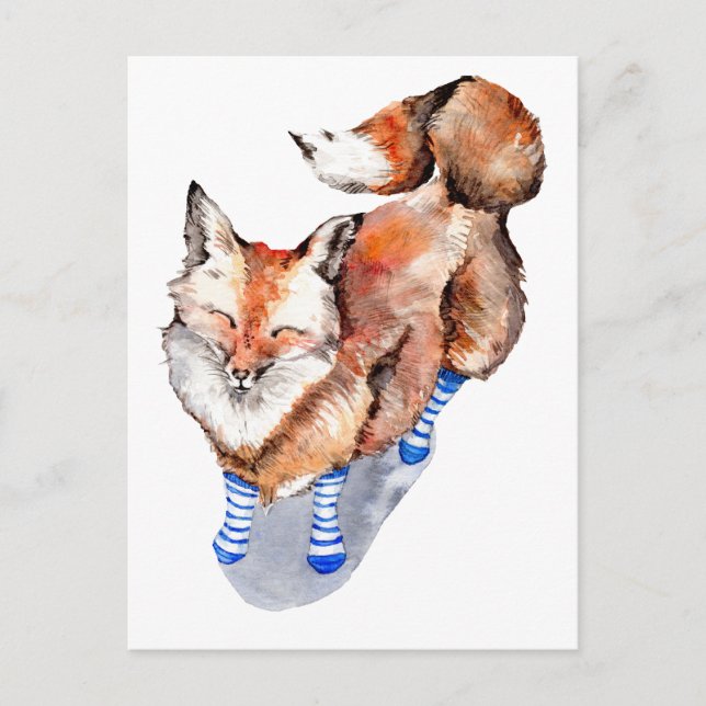 Carte Postale Renard en Chaussettes (Devant)