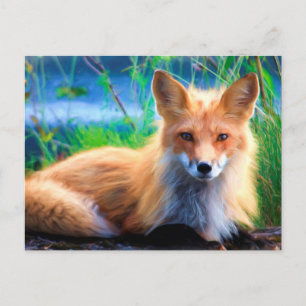 Carte Postale Renard rouge