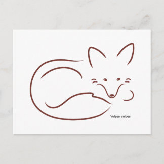 Carte Postale Renard rouge