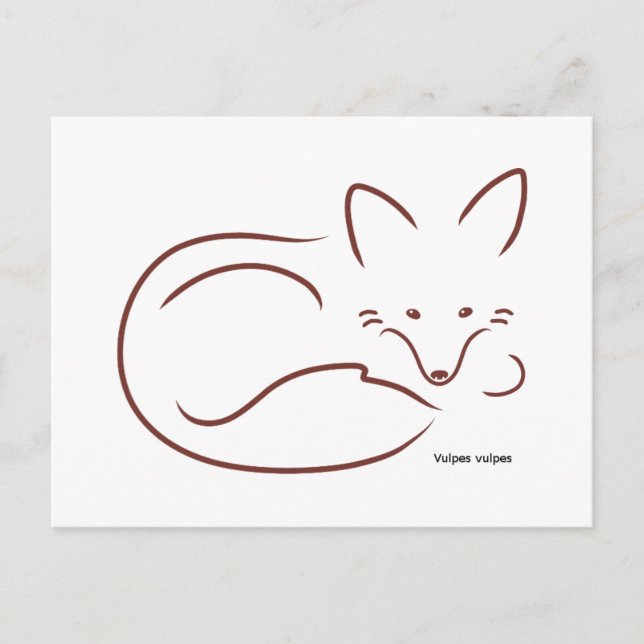 Carte Postale Renard rouge (Devant)