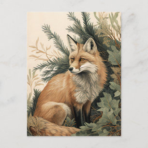 Carte Postale Renard Rouge
