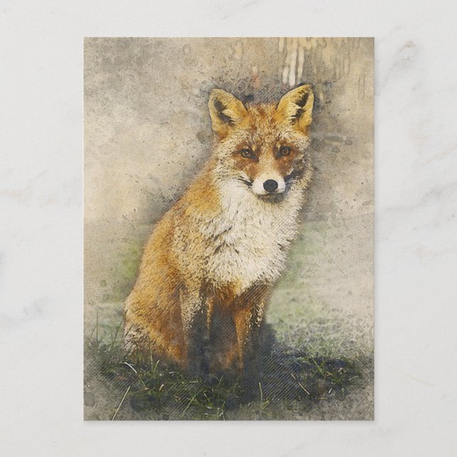 Carte Postale Renard rouge (Devant)