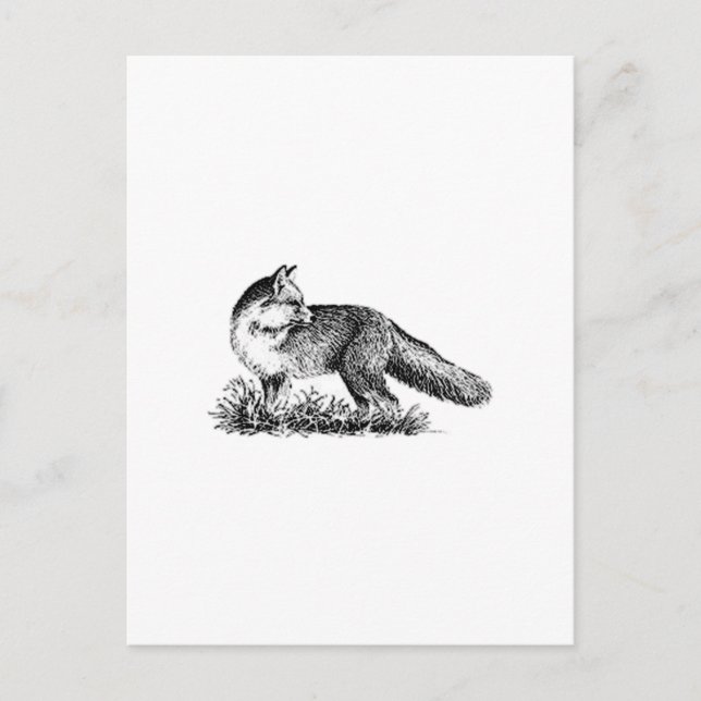 Carte Postale Renard rouge (art en ligne) (Devant)