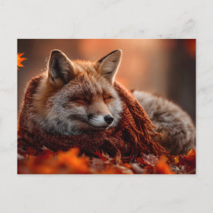 Carte Postale Renard Rouge Endormi dans une Écharpe Automnale Do