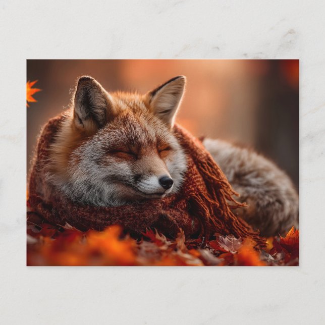 Carte Postale Renard Rouge Endormi dans une Écharpe Automnale Do (Devant)