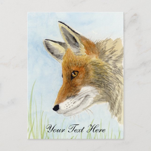 Carte Postale Renard roux (Devant)