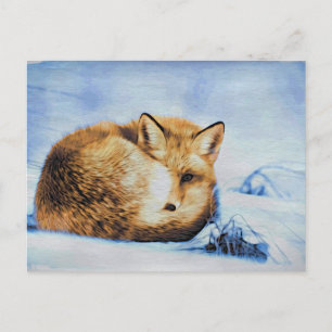 Carte Postale *~* Renard roux animalier Ap18 Artistique Faune sa