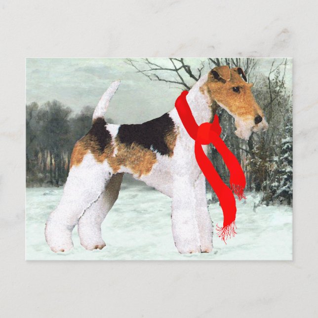 Carte Postale Renard Terrier Hiver (Devant)