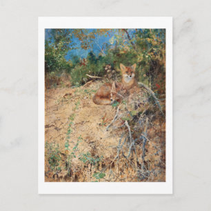 Carte Postale Renards, Bruno Liljefors