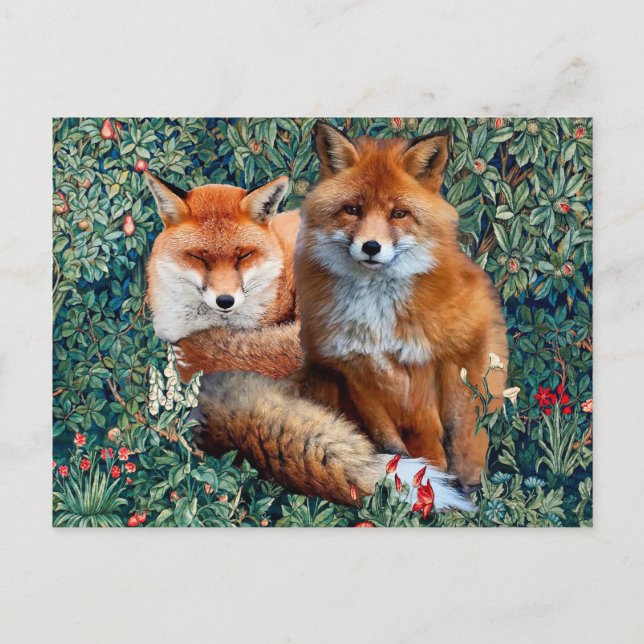 CARTE POSTALE RENARDS ROUX PARMI LA VÉGÉTATION, LE FEUILLAGE ET  (Devant)