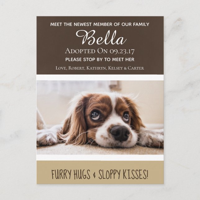 Carte Postale Rencontrez Le Nouveau Membre "New Dog" Faire-part (Devant)