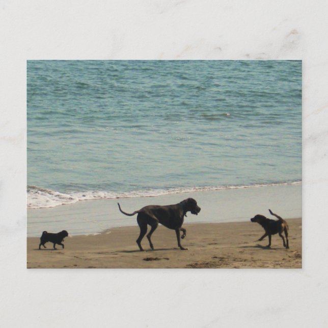 Carte Postale Rendez-vous et bienvenue (Devant)