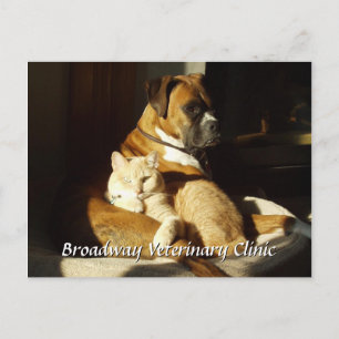 Carte postale Rendez-vous vétérinaire pour chien e