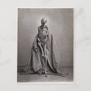 Carte Postale Rendswühren