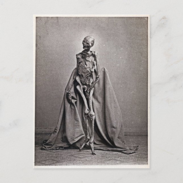 Carte Postale Rendswühren (Devant)