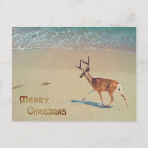 Carte Postale Rennes sur la plage surréaliste Joyeux Noël