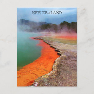 Carte Postale renonciation au pool de champagne