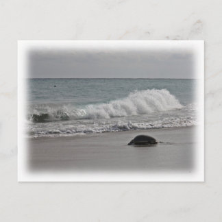 Carte Postale Rentrer à la maison