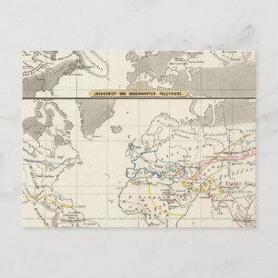 Carte Postale Répartition par sexe des chats