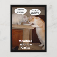Repas avec les Kitties
