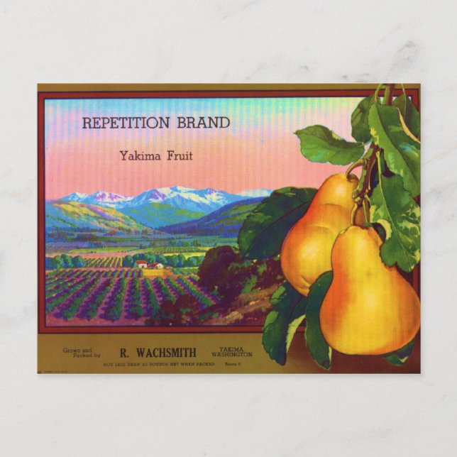 Carte Postale Répétition (Devant)