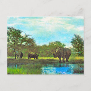 Carte Postale Réplique Rhinoceros Vintage, réserve d'Afrique du