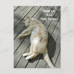 Carte Postale Repos Sentez-vous mieux mignon Chat Obtenez bien P