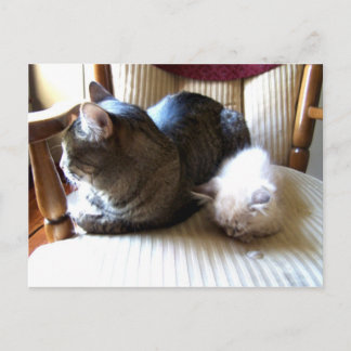 Carte Postale reposant avec toi