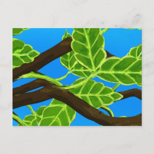 Carte Postale Repose (Devant)