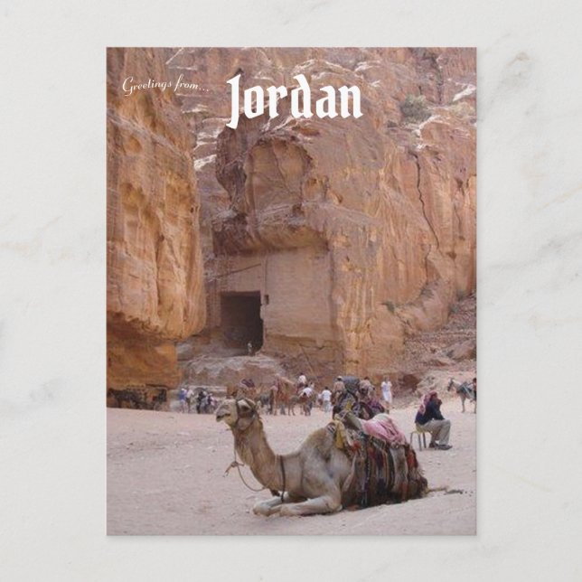 Carte Postale Repose de chameaux à Petra Jordan (Devant)