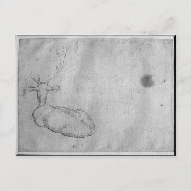 Carte Postale Repose du cerceau (Devant)