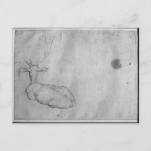 Carte Postale Repose du cerceau