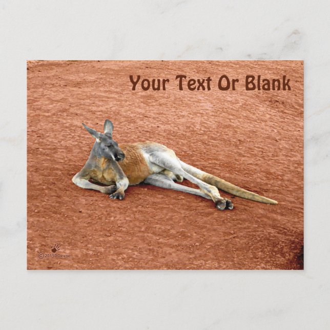 Carte Postale Repose Red Kangaroo Buck (Devant)
