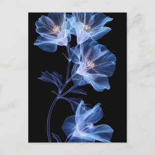 Carte Postale Représentation artistique d'une fleur par rayons X