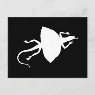 Carte Postale Reptile blanc