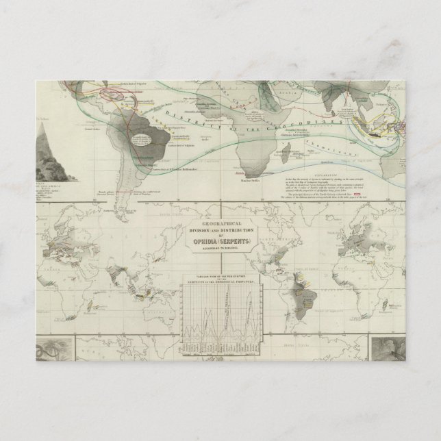 Carte Postale Reptilia, Ophidia (Devant)