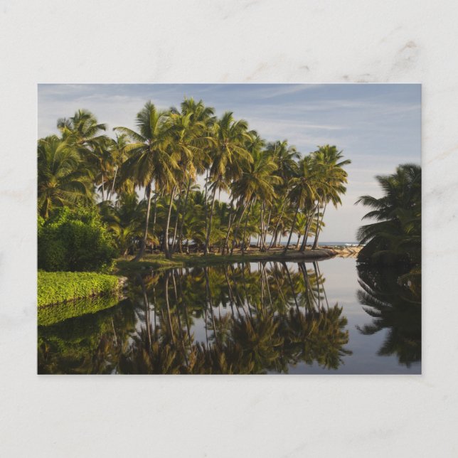 Carte Postale République Dominicaine, Côte Nord, Nagua, Playa (Devant)