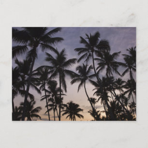 Carte Postale République Dominicaine, péninsule de Samana, Las 2