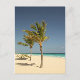 Carte Postale République dominicaine Plage tropicale