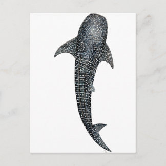 Carte Postale Requin baleine