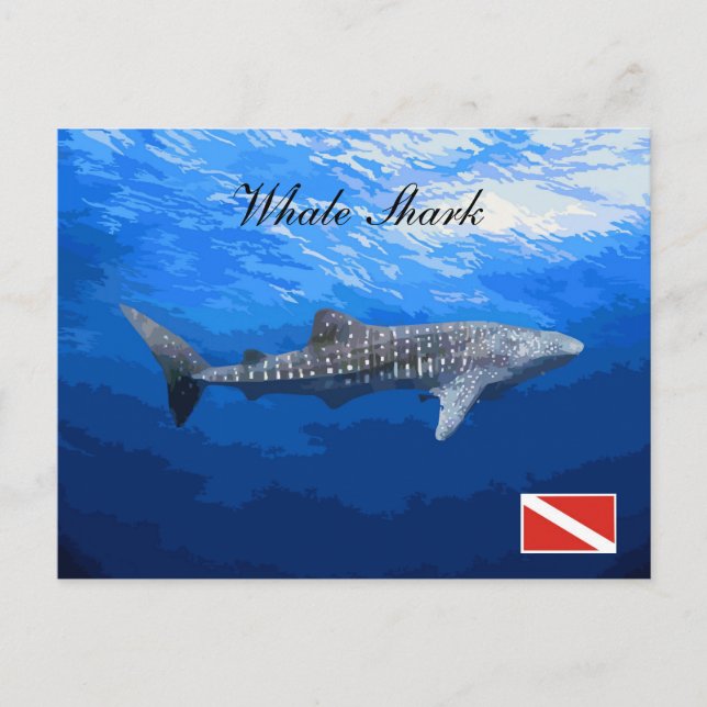 Carte postale requin baleine (Devant)
