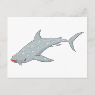 Carte Postale Requin-baleine sauvage