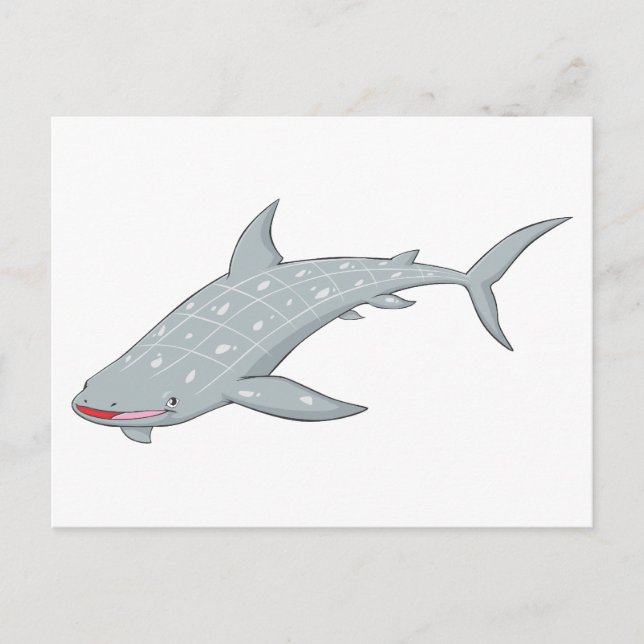 Carte Postale Requin-baleine sauvage (Devant)