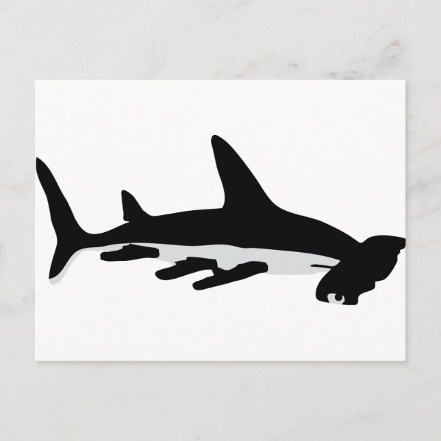 Carte Postale requin marteau (Devant)
