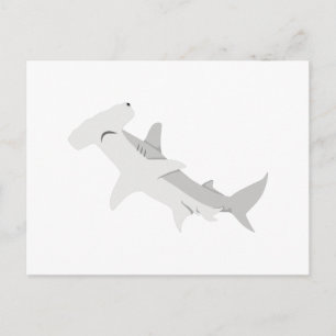 Carte Postale requin marteau