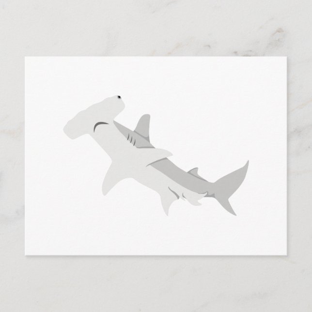 Carte Postale requin marteau (Devant)